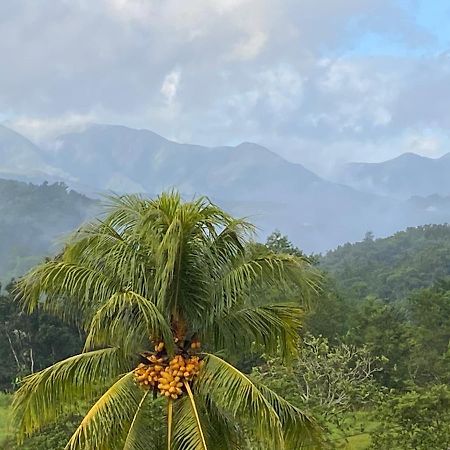 珀蒂堡La Vallee De Diane别墅 外观 照片